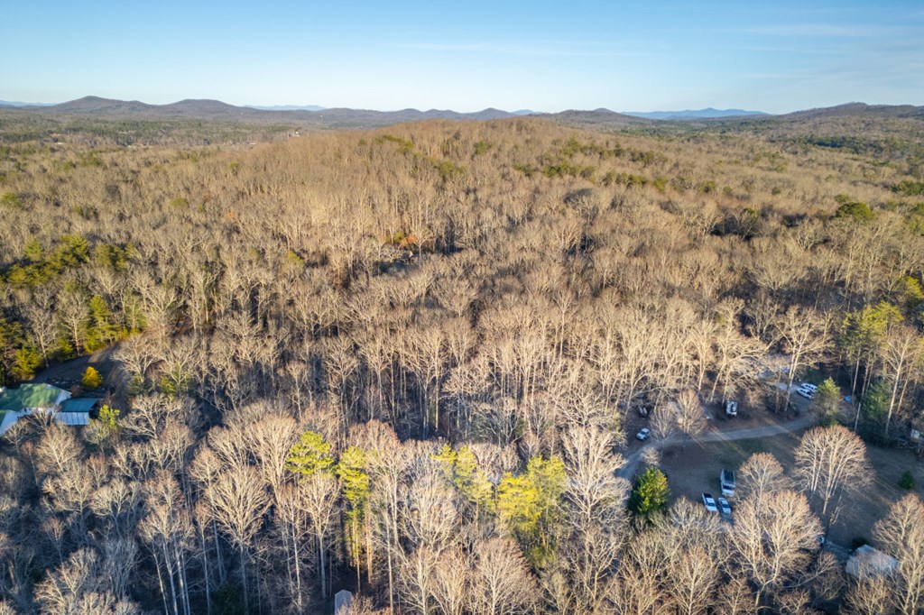 125 Cedar Lane Morganton, GA 30560 - Photo 88 of 90