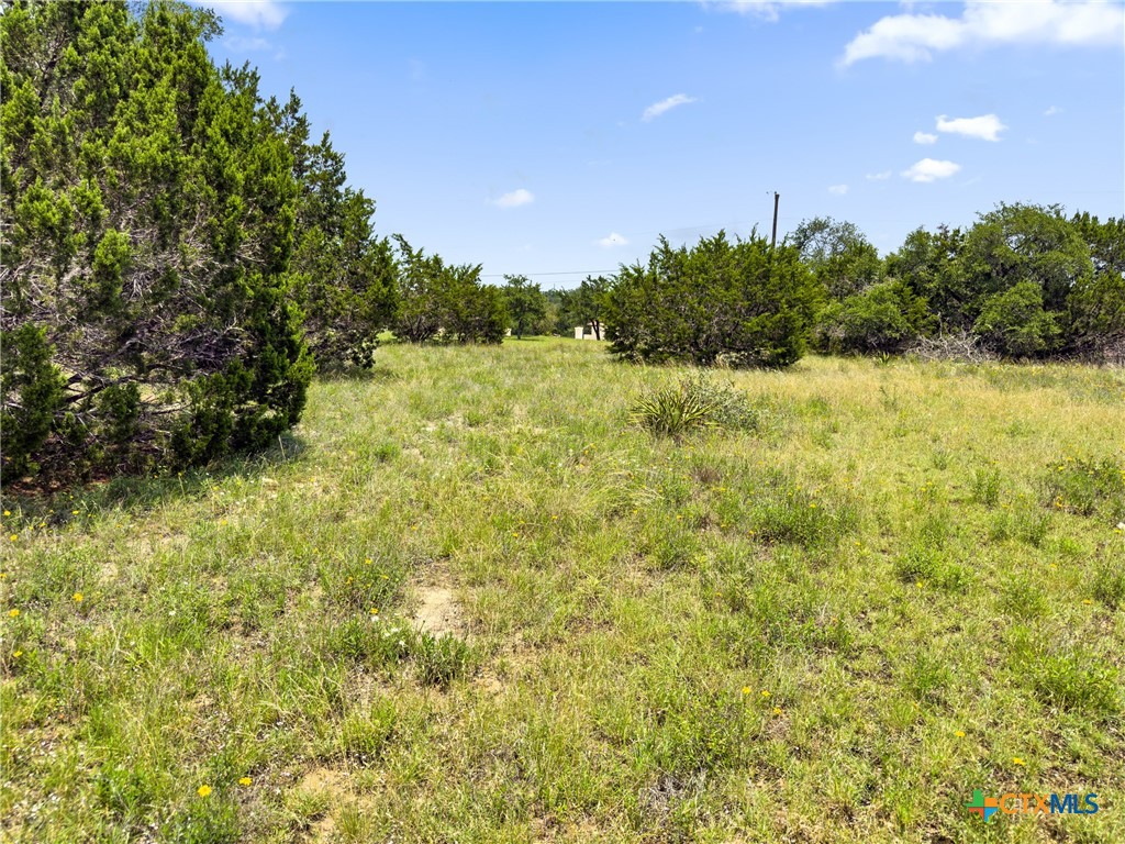 141 Vista View Place Spring Branch, TX 78070 - Photo 16 of 32