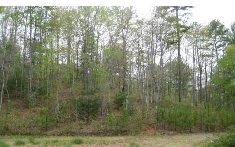 Donley Road Murphy, NC 28906 - Photo 1 of 4 Main View