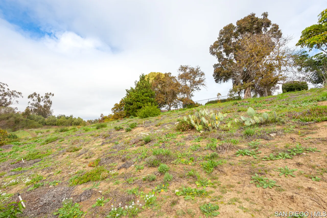 619 Elm Tree Lane Fallbrook, CA 92028 - Photo 22 of 28 a view of a field with an trees