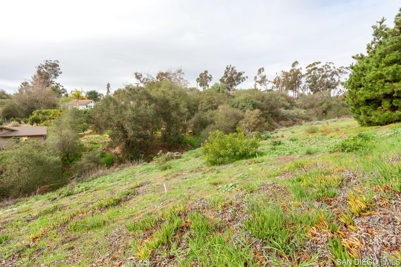 619 Elm Tree Lane Fallbrook, CA 92028 - Photo 23 of 28 a view of a large yard with lots of bushes