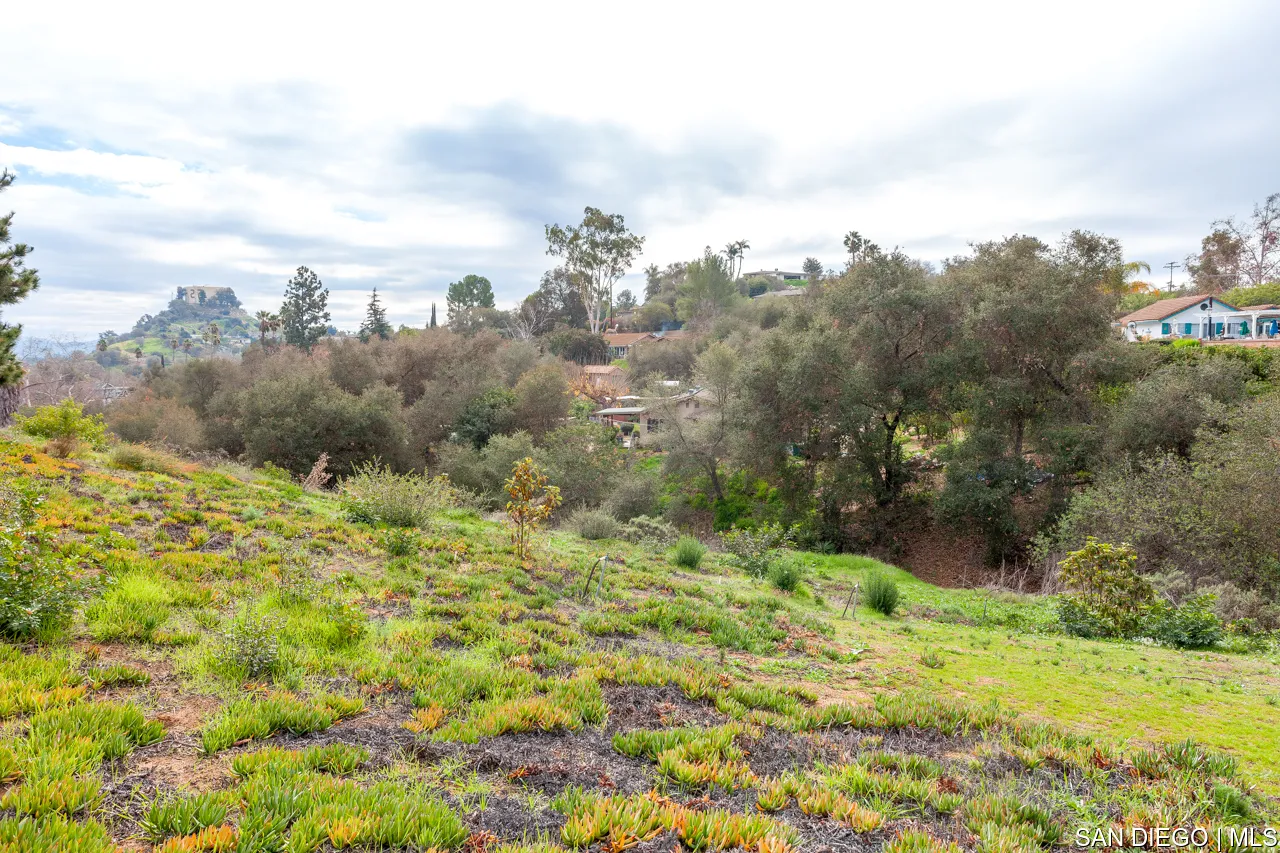 619 Elm Tree Lane Fallbrook, CA 92028 - Photo 24 of 28 a view of a big yard with large trees