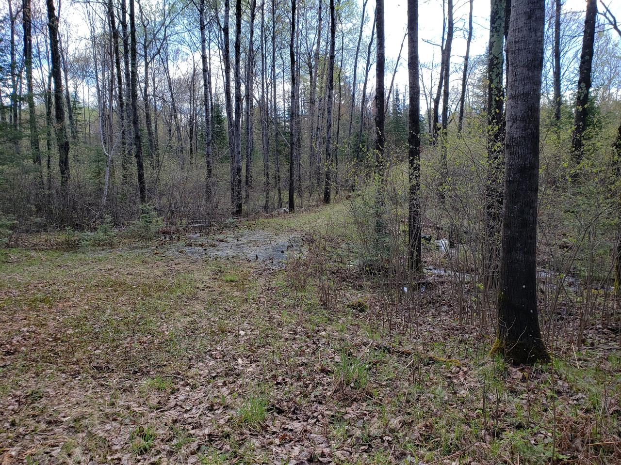 End Of Sanctuary Road Tomahawk, WI 54487 - Photo 12 of 14 Gallery Image 12