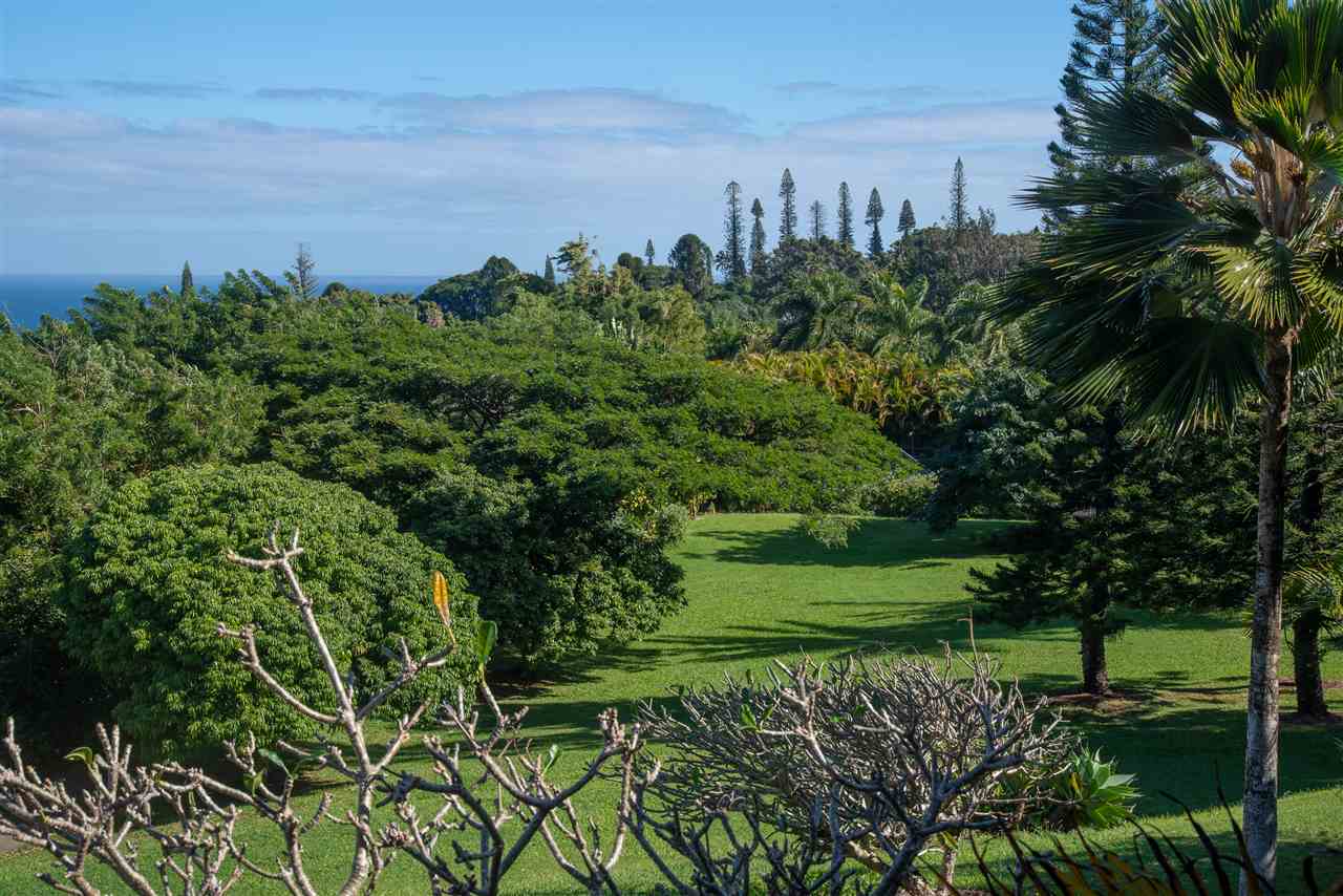 365 Waiama Way Haiku, HI 96708 - Photo 29 of 30 Gallery Image 29