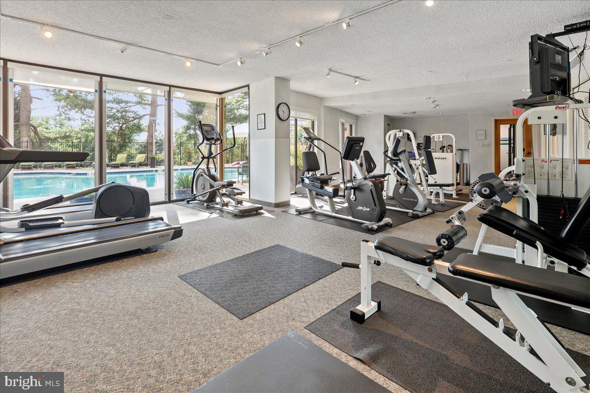 1101 South Arlington Ridge Road, Unit 402 Arlington, VA 22202 - Photo 52 of 61 Bright fitness space with pool view.