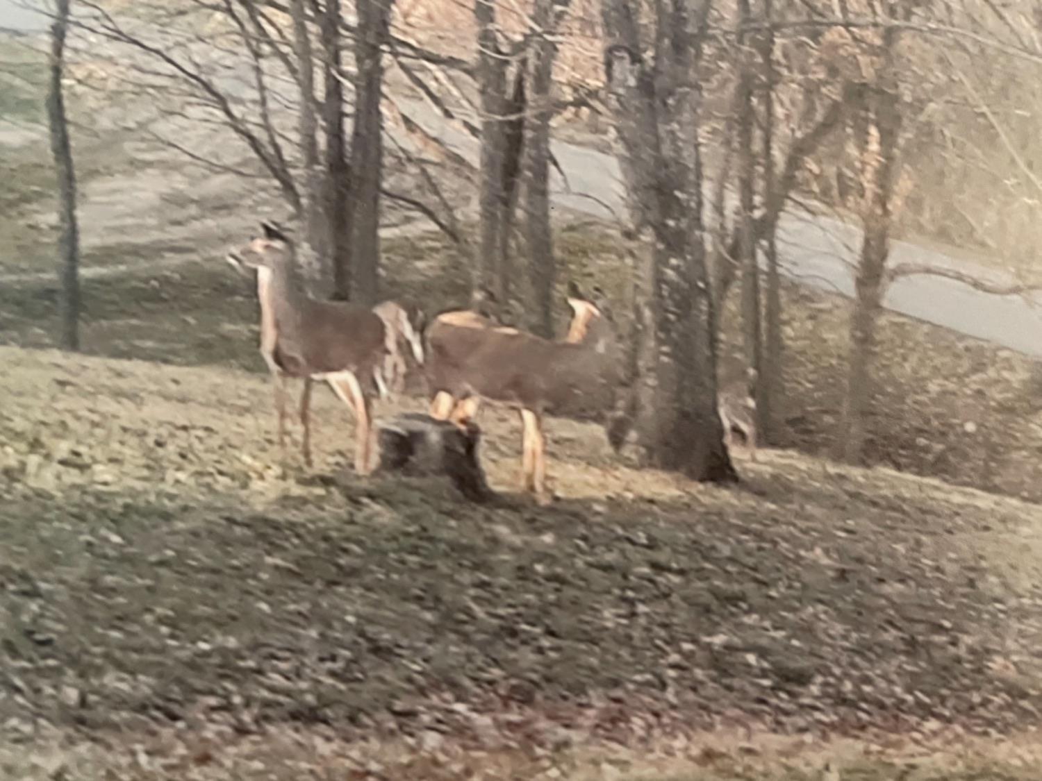 7914 Chicken Hollow Road Ripley, OH 45167 - Photo 13 of 29