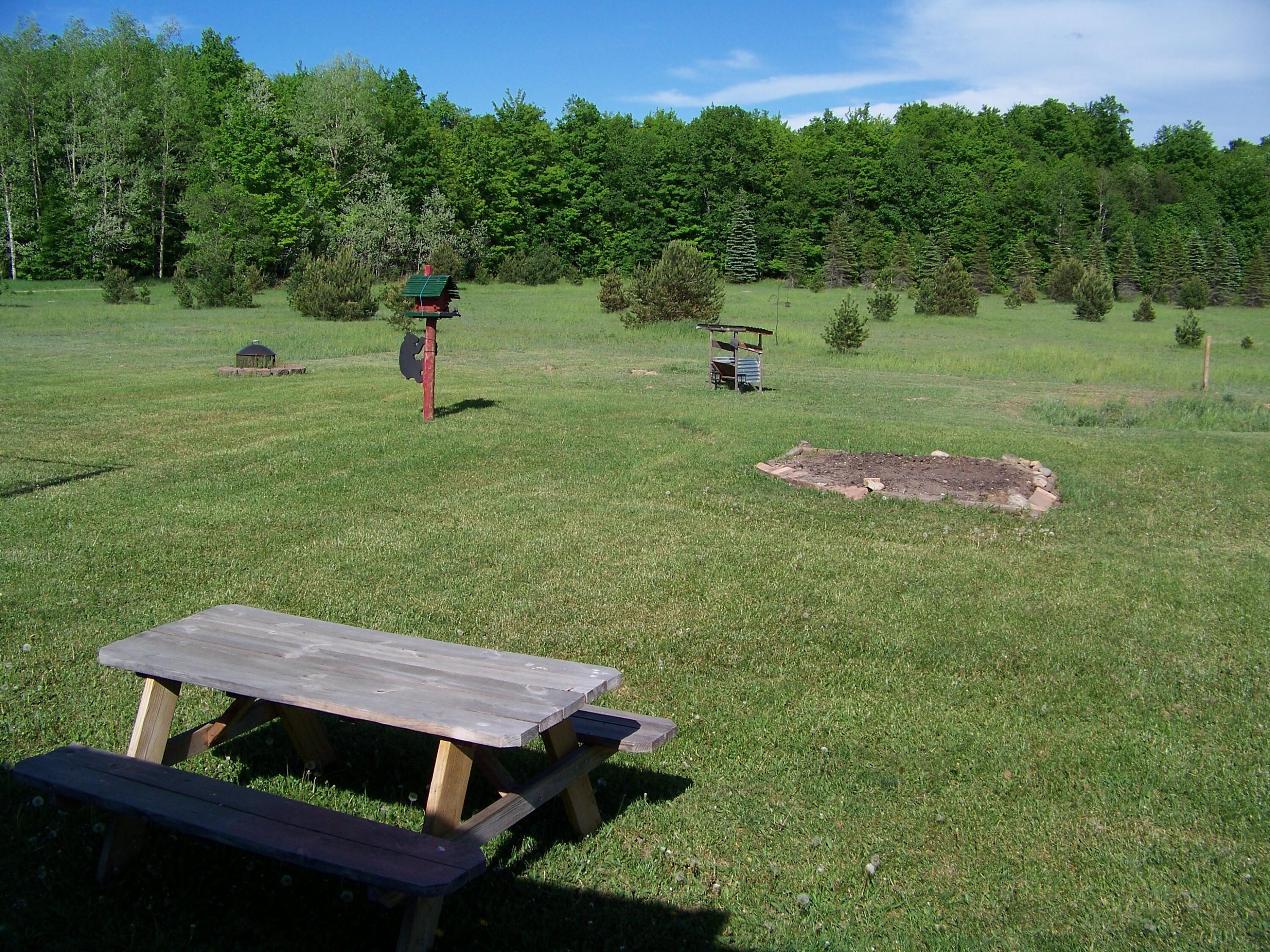 9724 North Sherman Road Frederic, MI 49733 - Photo 44 of 69 Gallery Image 44