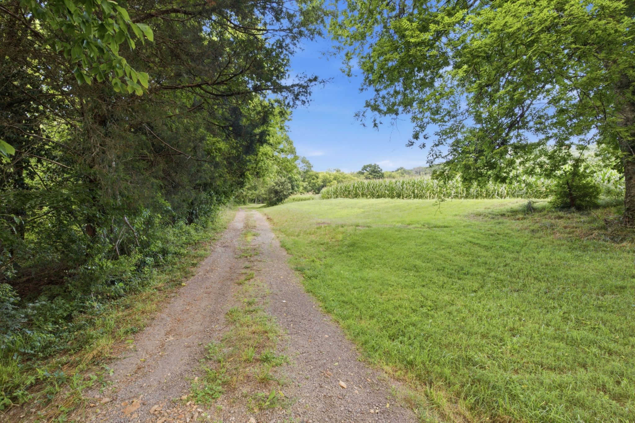 145 Crenshaw Road Bethpage, TN 37022 - Photo 6 of 34 a view of a pathway both side of yard