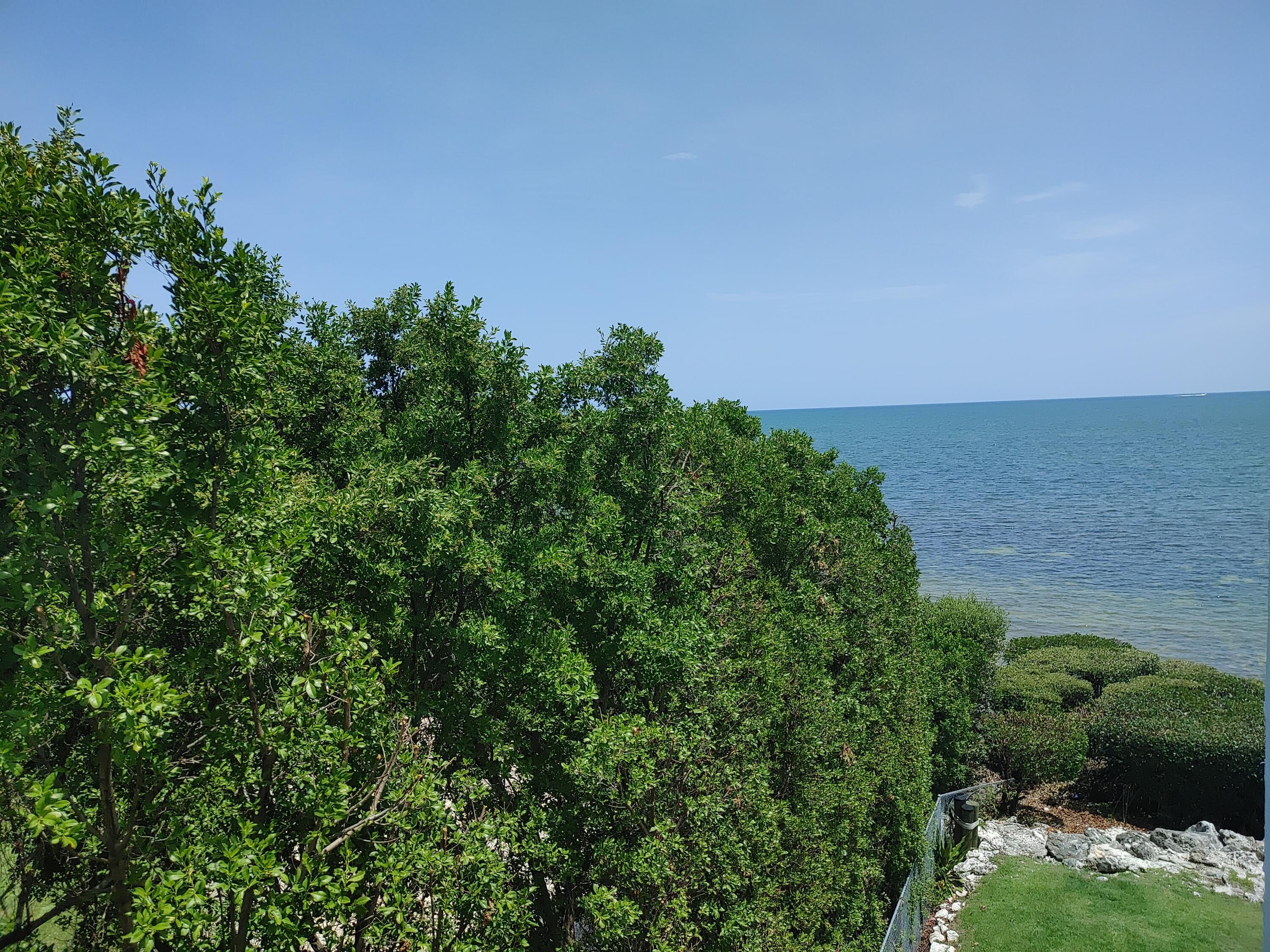 87465 Old Highway, Unit 224 Islamorada, FL 33036 - Photo 6 of 39 a view of a garden