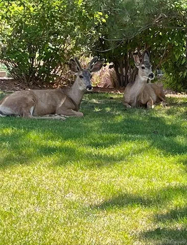 $340,000 | 22960 East Roxbury Drive, Unit F, Aurora, CO 80016