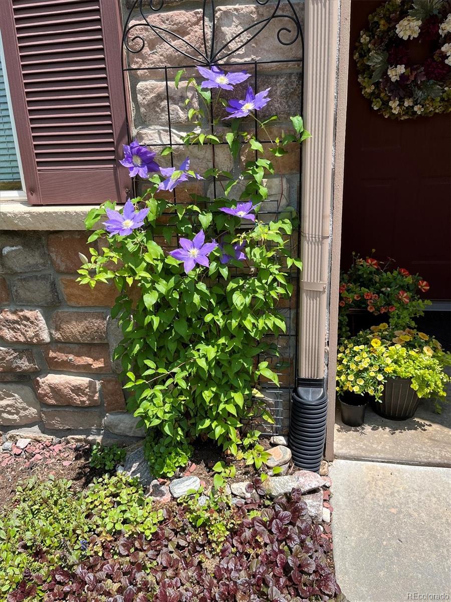 22960 East Roxbury Drive, Unit F Aurora, CO 80016 - Photo 40 of 43 a flower plants