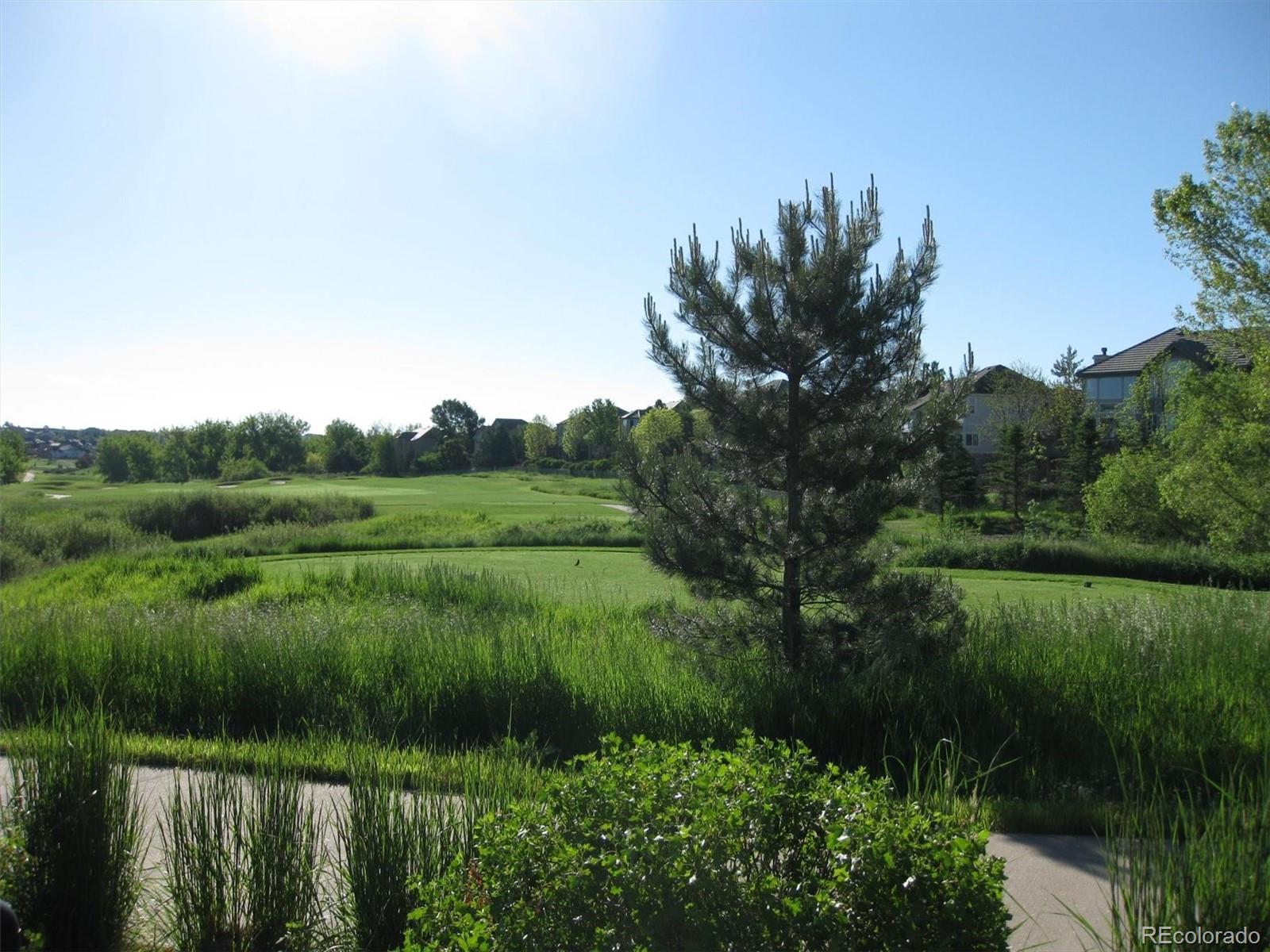 22960 East Roxbury Drive, Unit F Aurora, CO 80016 - Photo 42 of 43 a view of a lush green outdoor space with a lake view