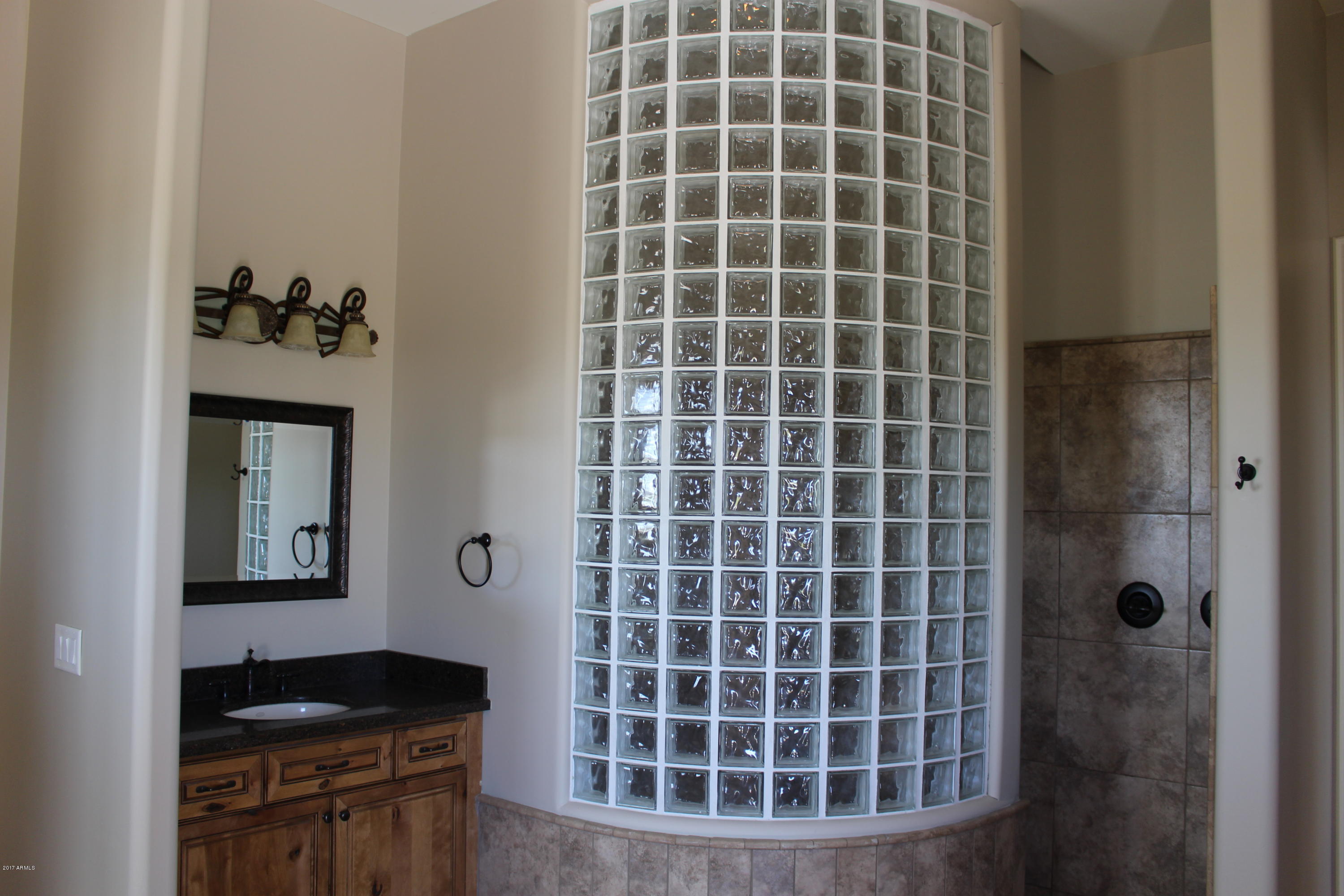29981 West Marsh Road Casa Grande, AZ 85193 - Photo 14 of 38 Master snail shower