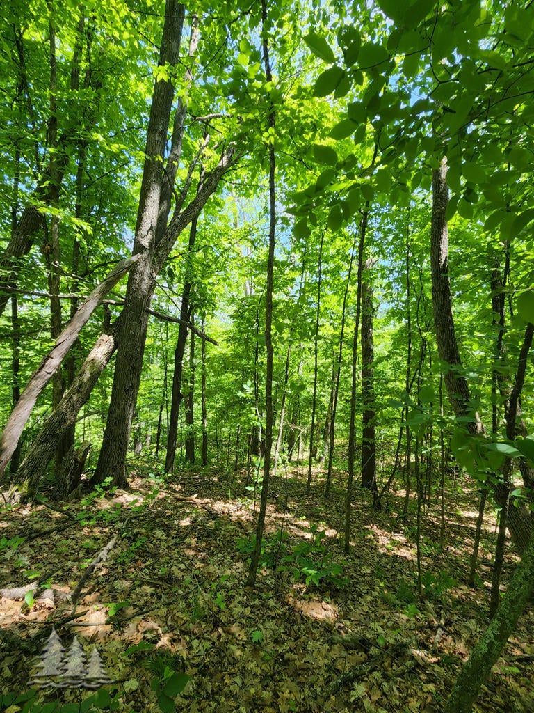 Mcintire Road Mio, MI 48647 - Photo 4 of 17 Gallery Image 4