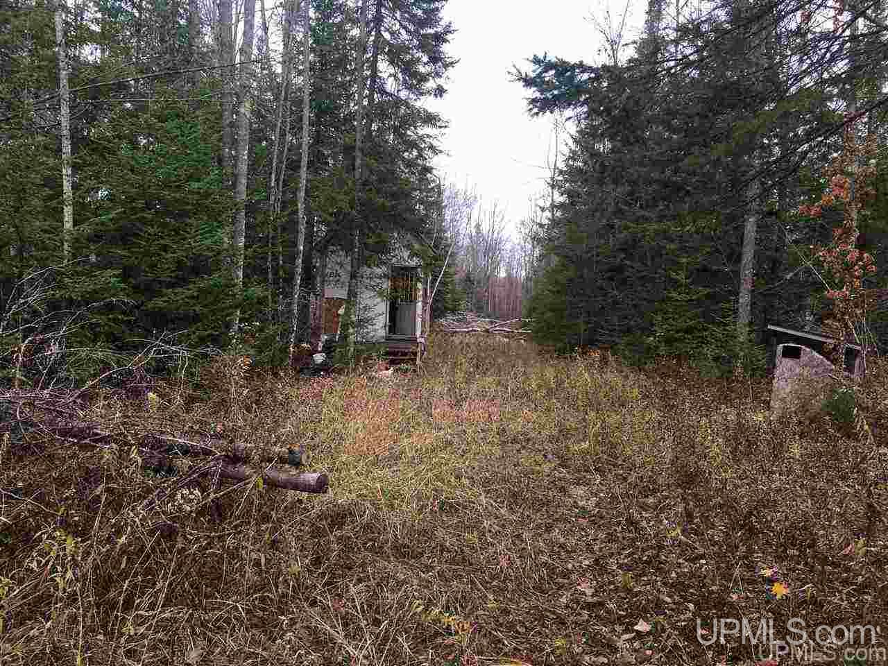 40-acres Off Cadeau Road Baraga, MI 49908 - Photo 14 of 19