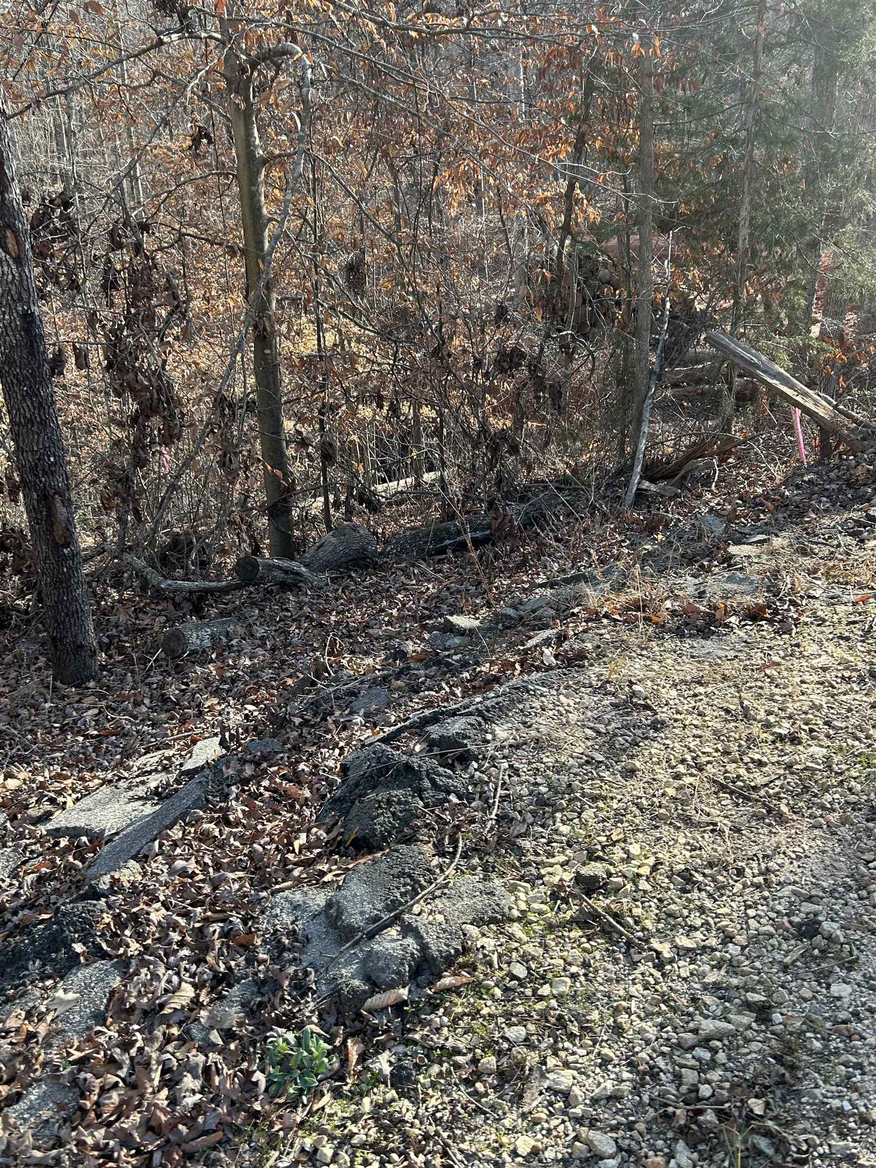 Lot 72 Sutton Cove Court Westminster, SC 29693 - Photo 11 of 13