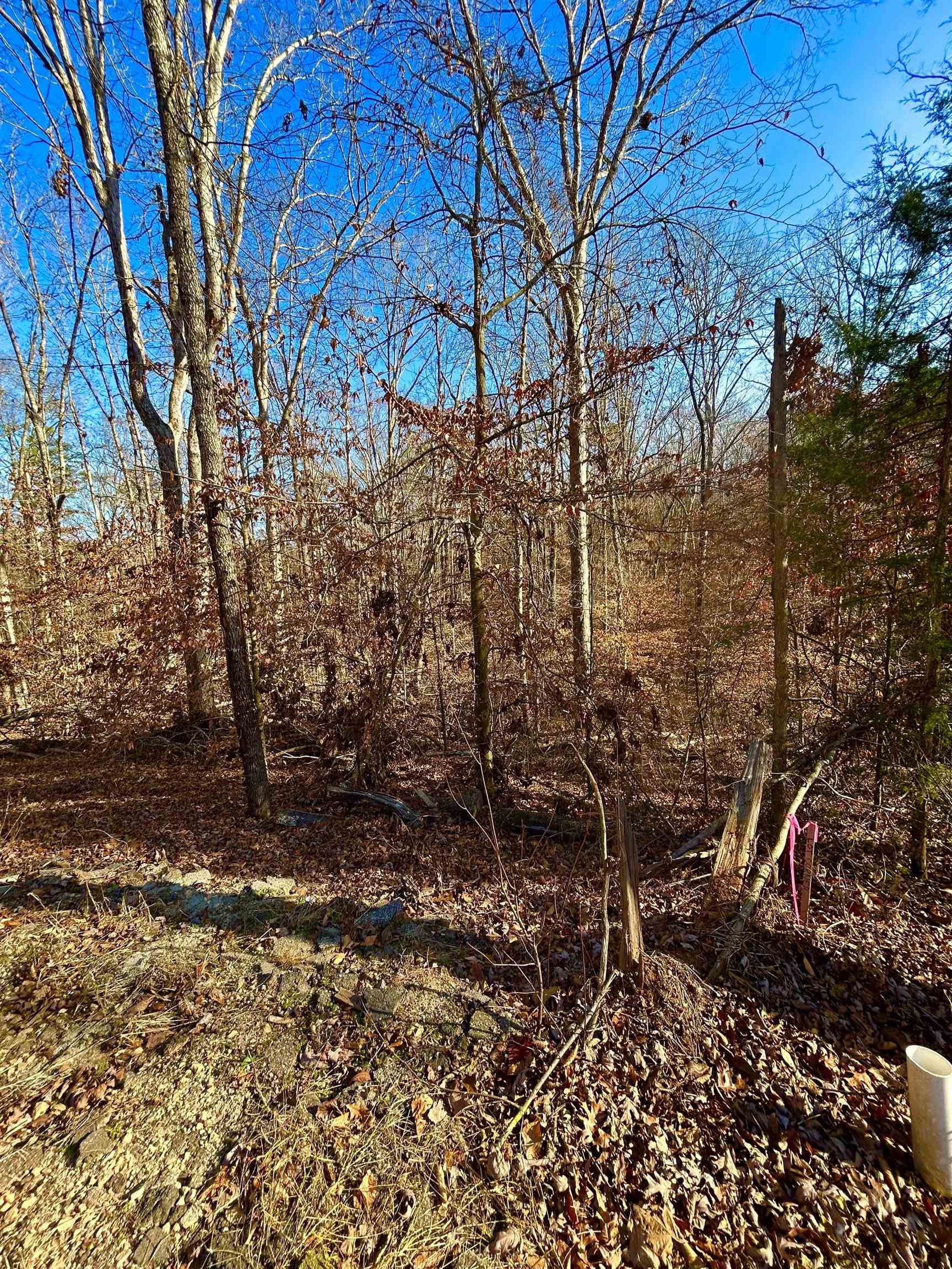 Lot 72 Sutton Cove Court Westminster, SC 29693 - Photo 4 of 13