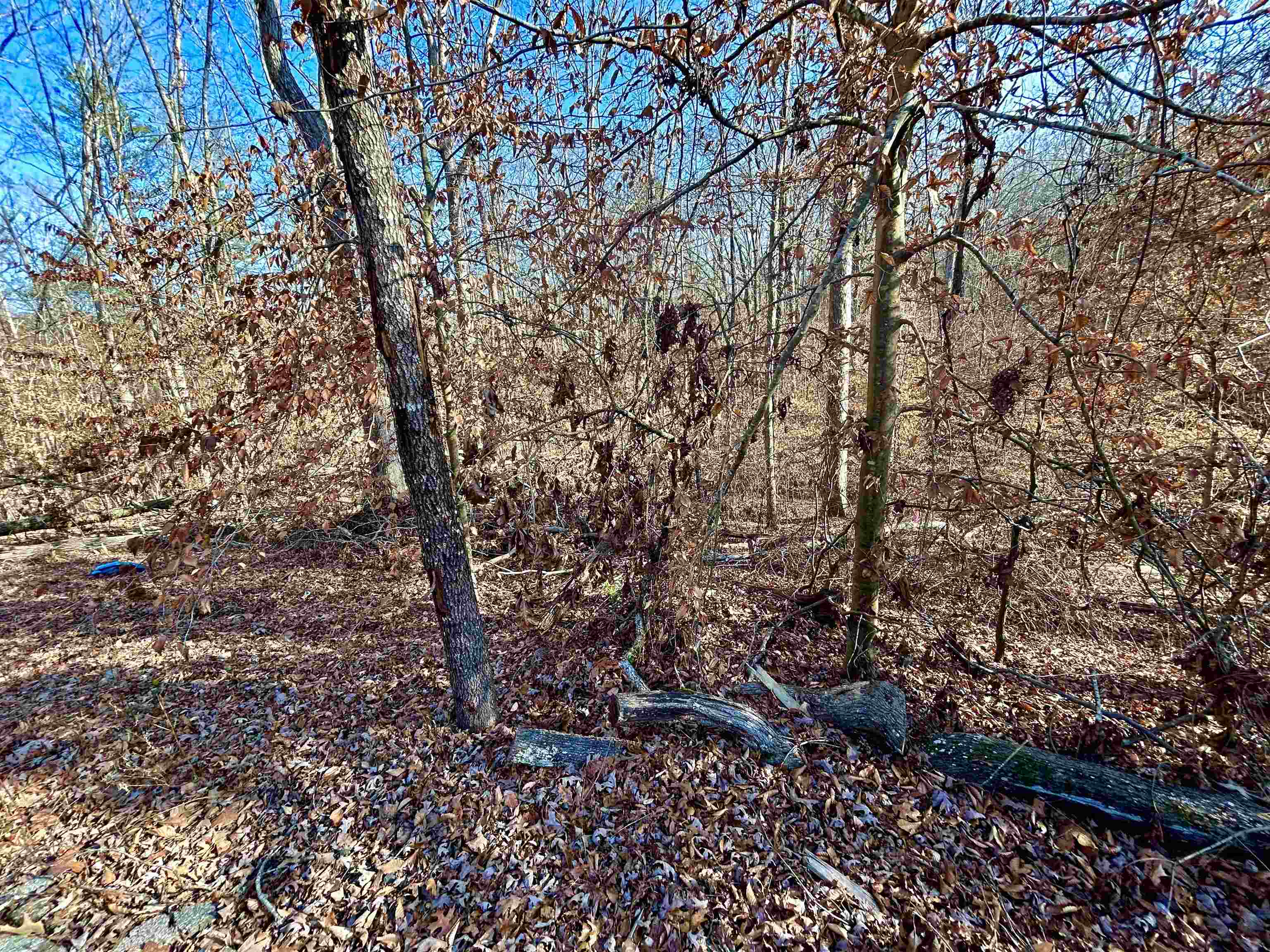 Lot 72 Sutton Cove Court Westminster, SC 29693 - Photo 5 of 13