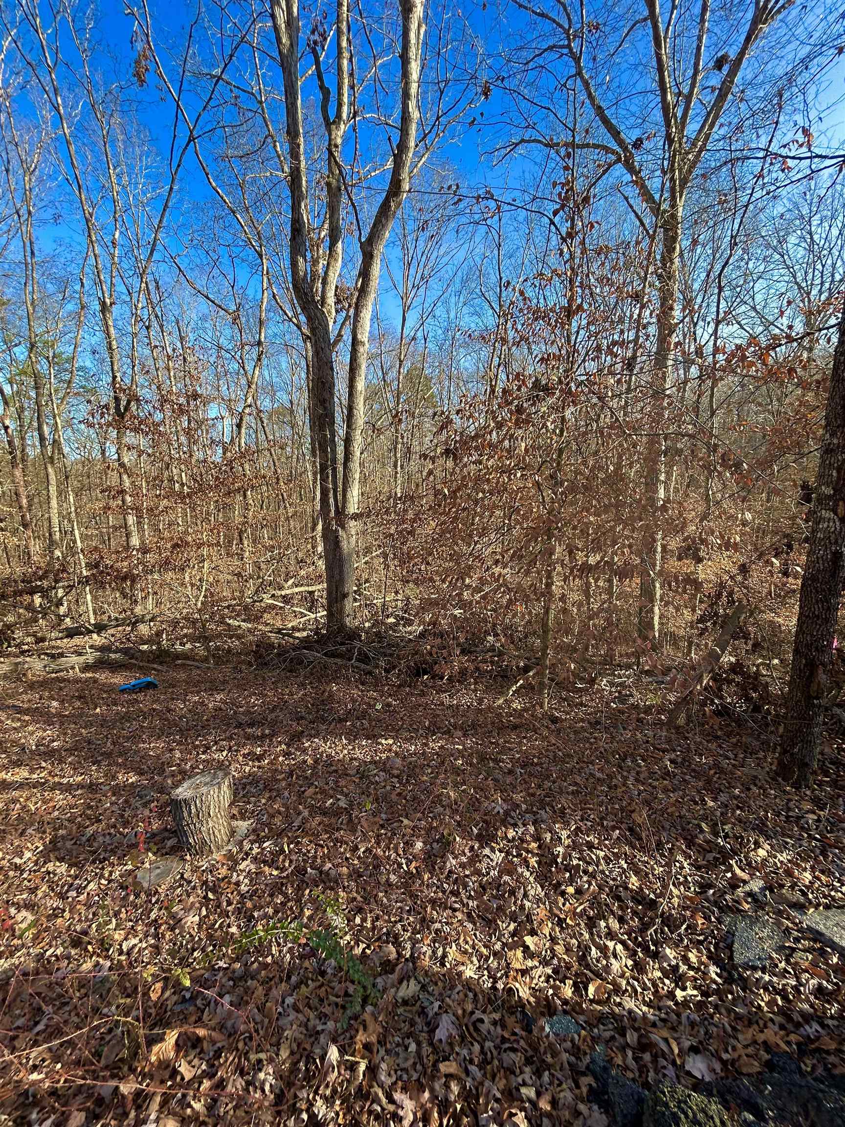 Lot 72 Sutton Cove Court Westminster, SC 29693 - Photo 6 of 13