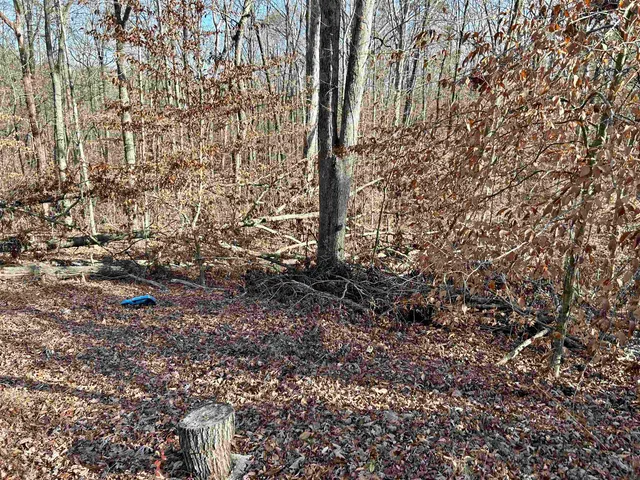 $16,900 | Lot 72 Sutton Cove Court, Westminster, SC 29693