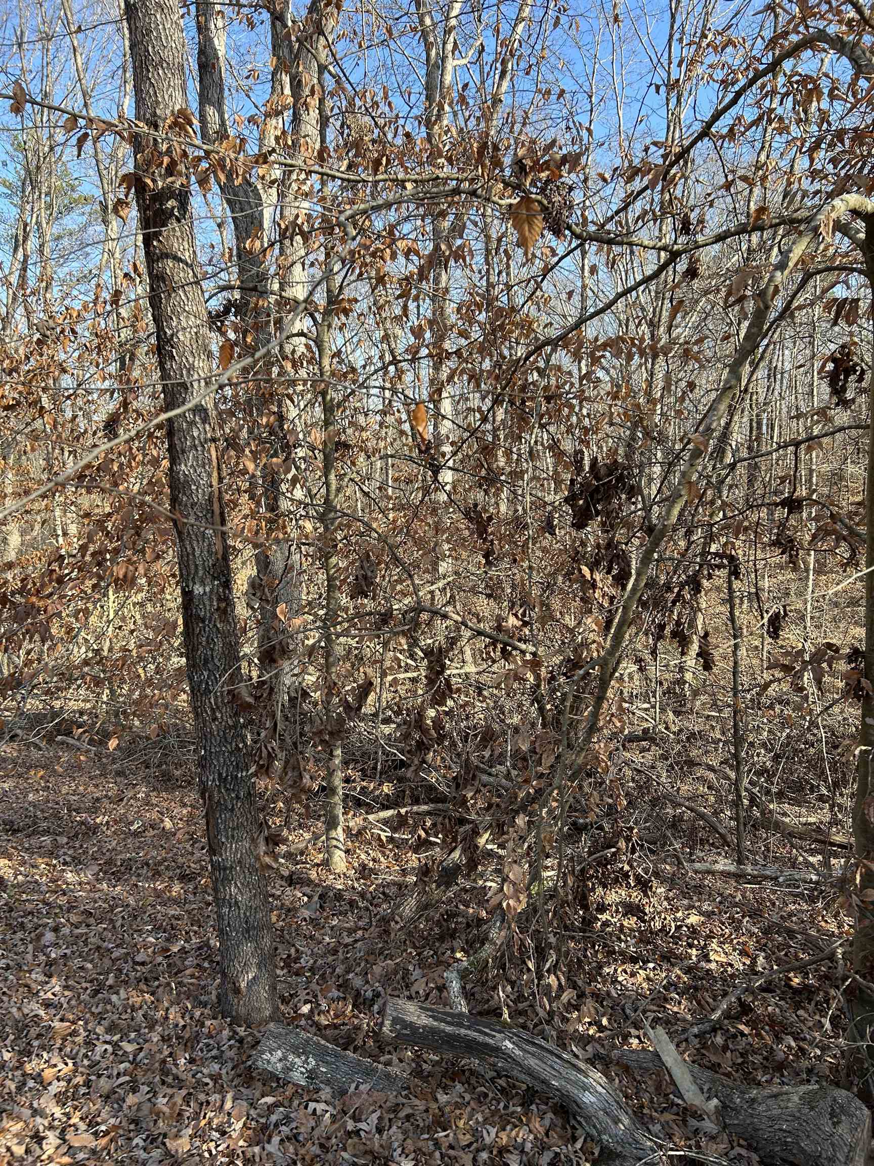 Lot 72 Sutton Cove Court Westminster, SC 29693 - Photo 9 of 13