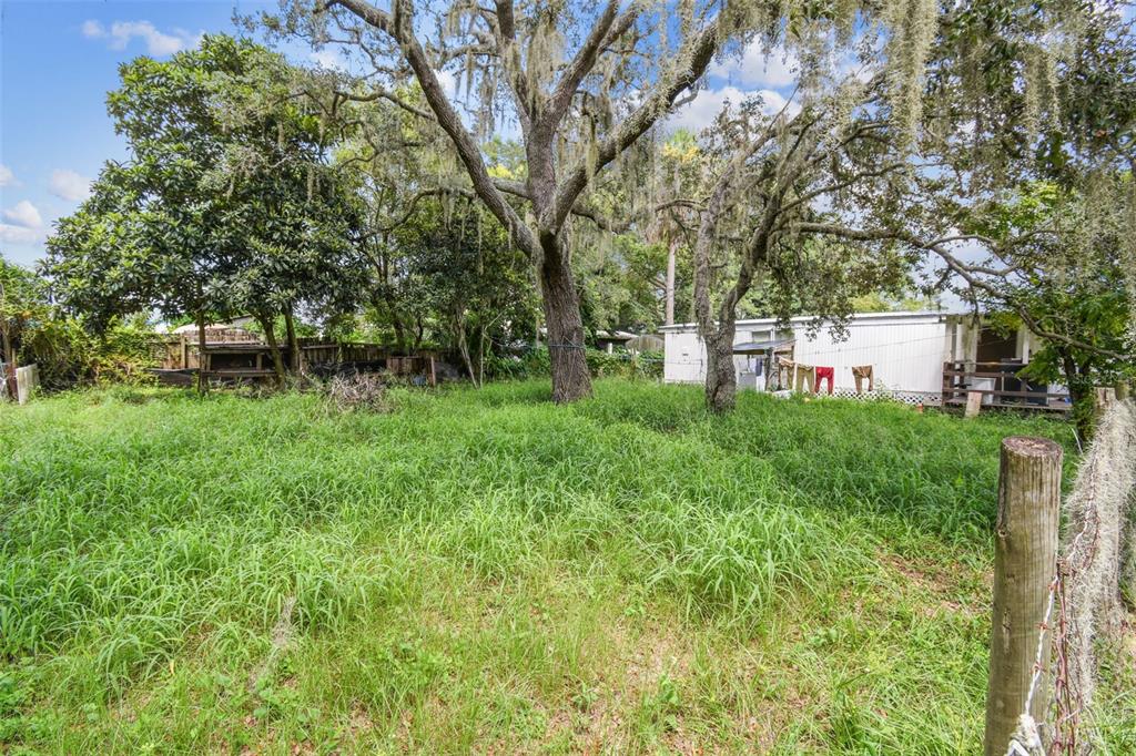 1101 Bird Road Davenport, FL 33837 - Photo 32 of 36 a backyard of a house with lots of green space