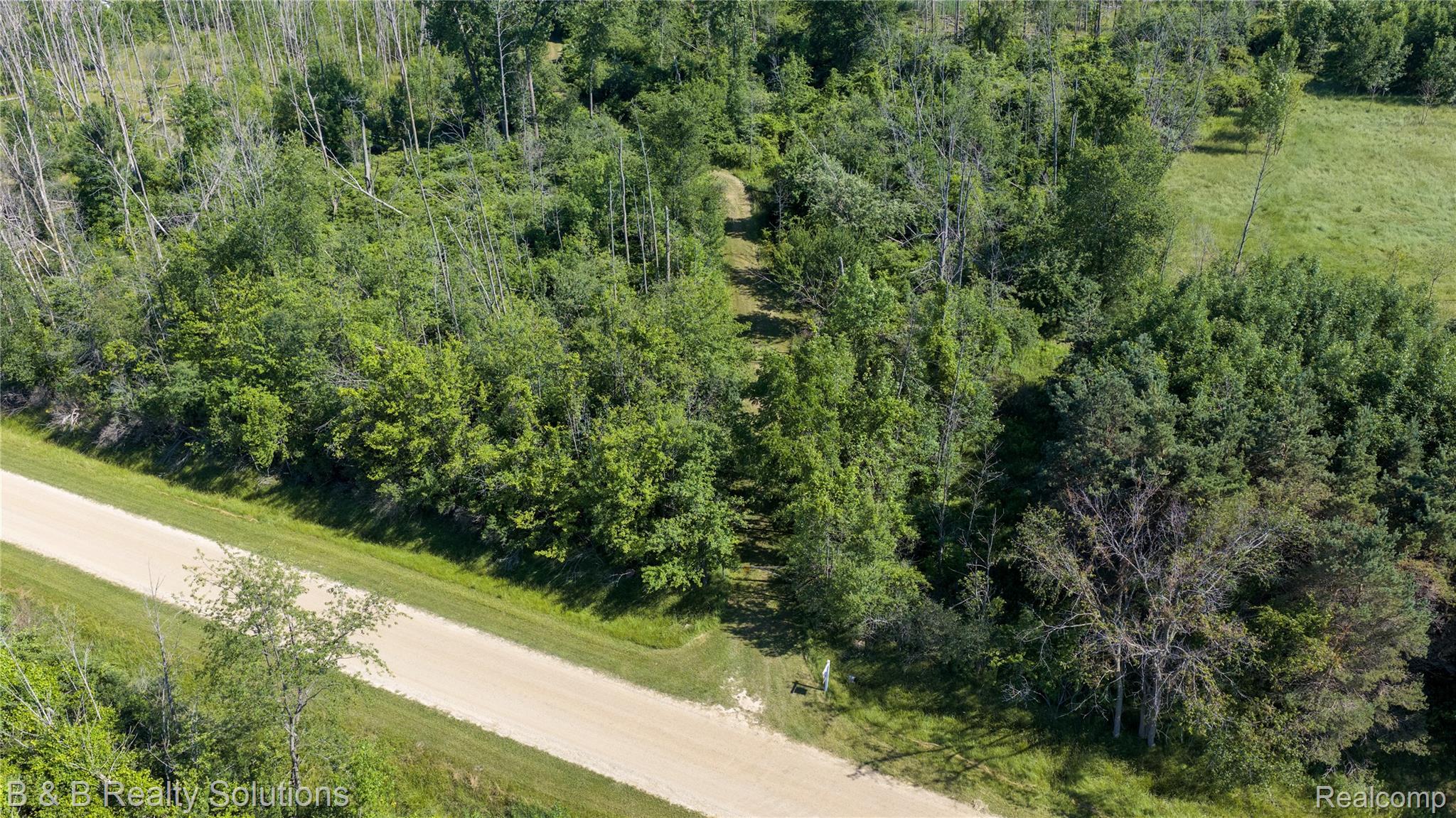 0 Elm Road Port Hope, MI 48468 - Photo 31 of 46 DJI_20260706164435_0481_D copy.jpg