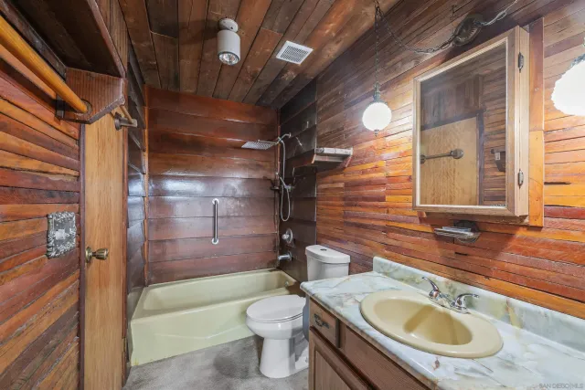 a view of a forest with trees in the background