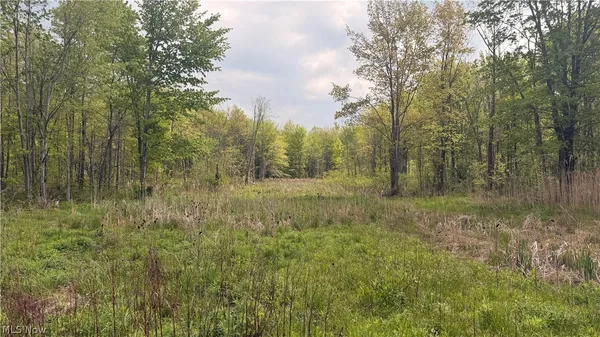 $919,000 | Munson Hill Road, Ashtabula, OH 44004