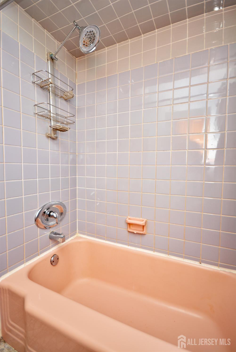 9 Emma Place Middlesex, NJ 08846 - Photo 19 of 32 a bathroom with a tub and a shower
