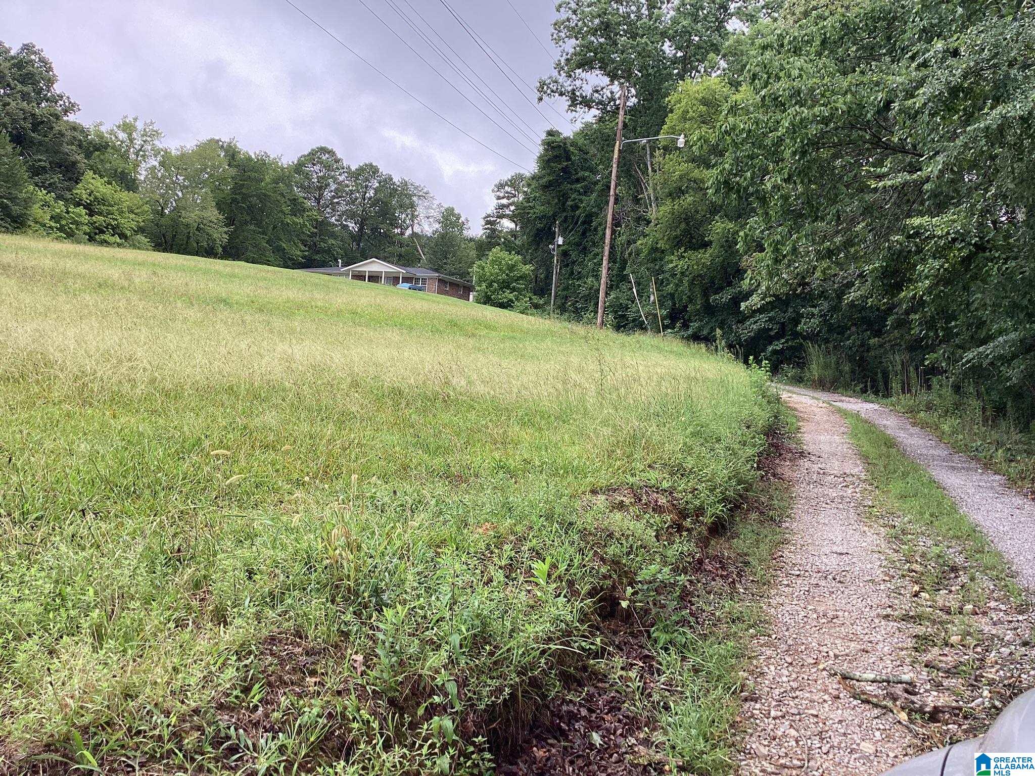 7392 Highway 75, Unit 1 Pinson, AL 35126 - Photo 3 of 12