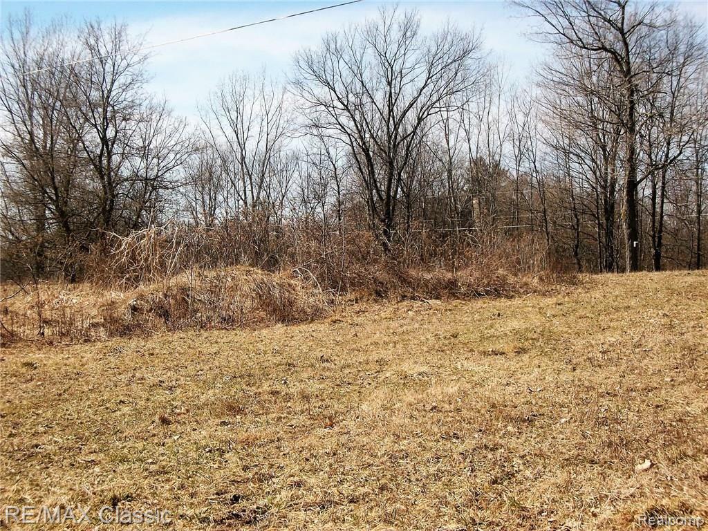 6100 Miller Road Fowlerville, MI 48836 - Photo 10 of 13