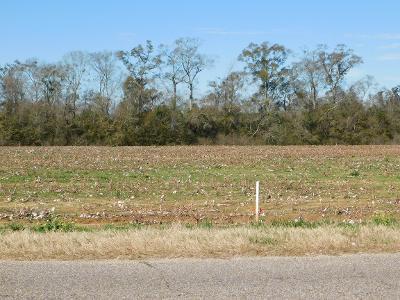 Lot 9 West Cook Road Dothan, AL 36301 - Photo 1 of 2