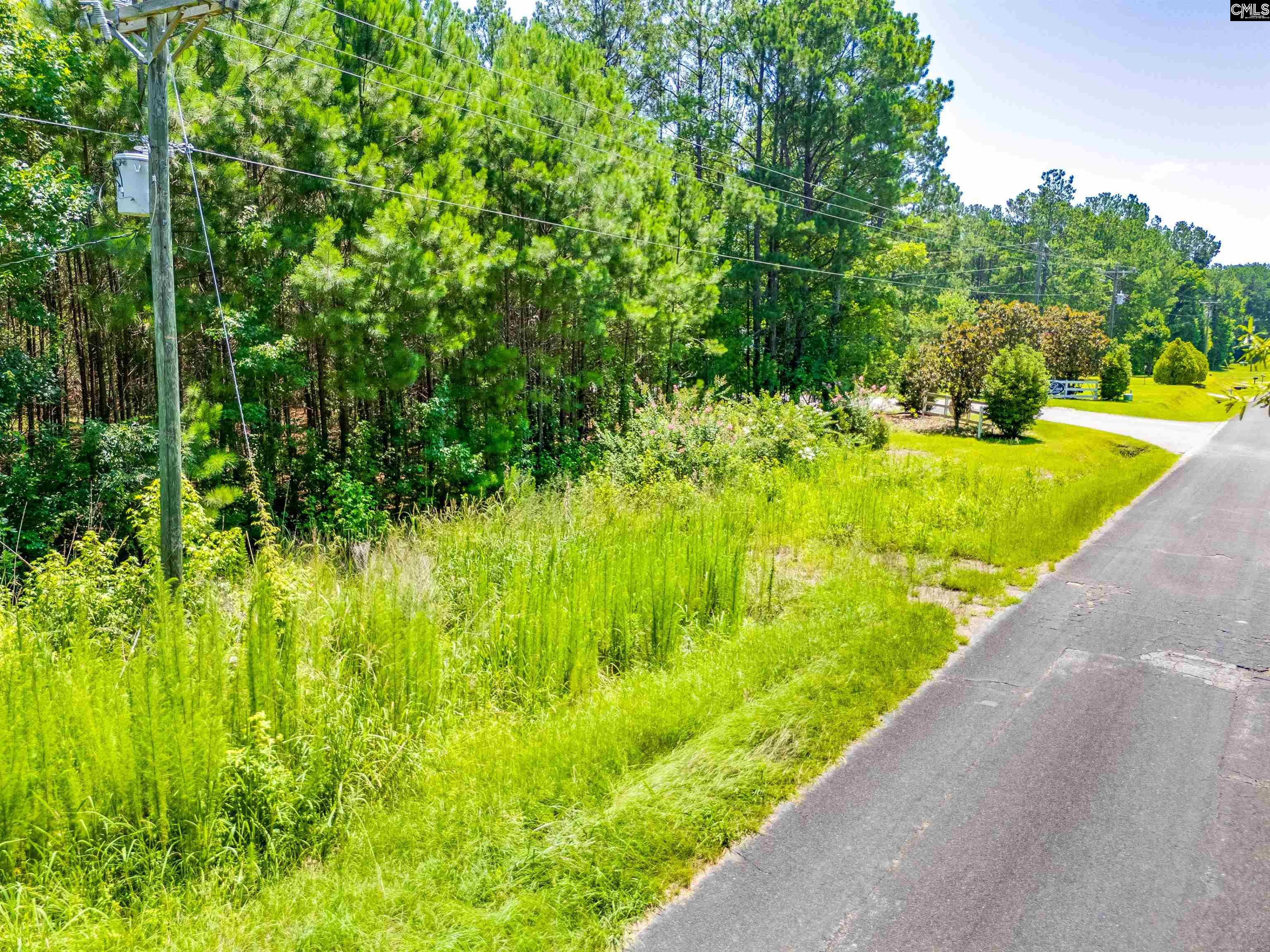 1021 State Rd S-40-1692 Blythewood, SC 29016 - Photo 11 of 12