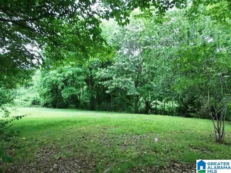 246 County Road 31 Ashland, AL 36251 - Photo 20 of 25