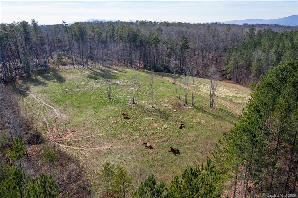 516 Rock Springs Church Road Rutherfordton, NC 28139 - Photo 20 of 29 Gallery Image 20
