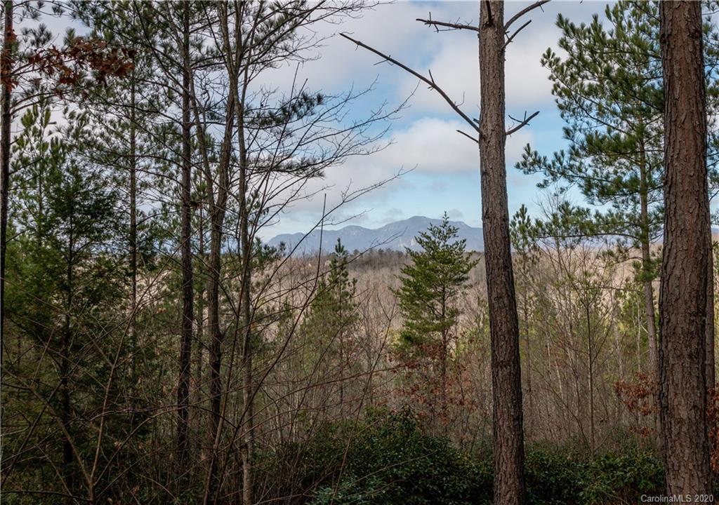 516 Rock Springs Church Road Rutherfordton, NC 28139 - Photo 22 of 29 Gallery Image 22