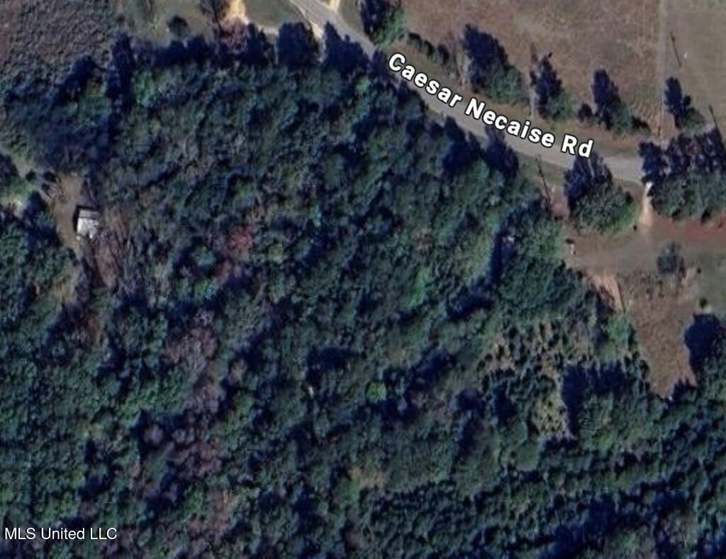 0 Caesar Necaise Road Perkinston, MS 39573 - Photo 1 of 6 Aerial