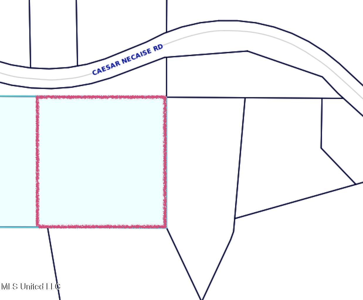 0 Caesar Necaise Road Perkinston, MS 39573 - Photo 5 of 6 Screenshot 2025-10-30 at 12.25.43 PM