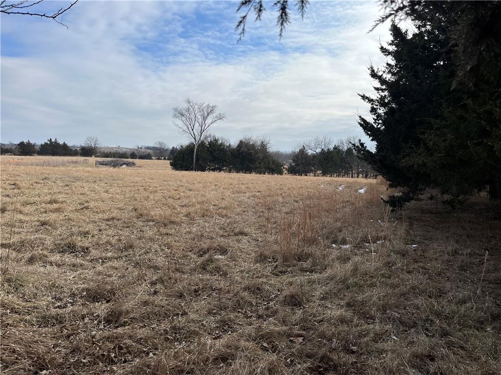 4779 Cloud Terrace Lane, KS 66042 - Photo 3 of 6