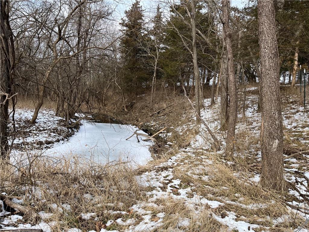 4779 Cloud Terrace Lane, KS 66042 - Photo 4 of 6