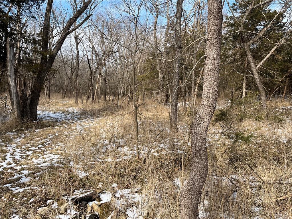 4779 Cloud Terrace Lane, KS 66042 - Photo 5 of 6