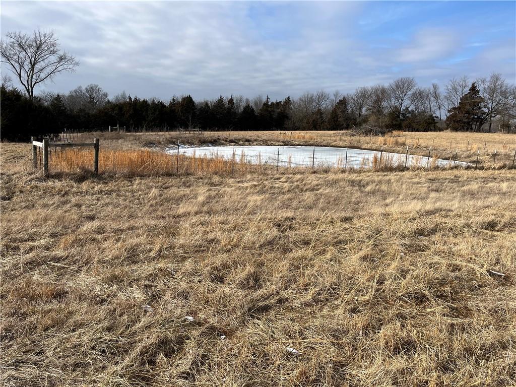 4779 Cloud Terrace Lane, KS 66042 - Photo 6 of 6