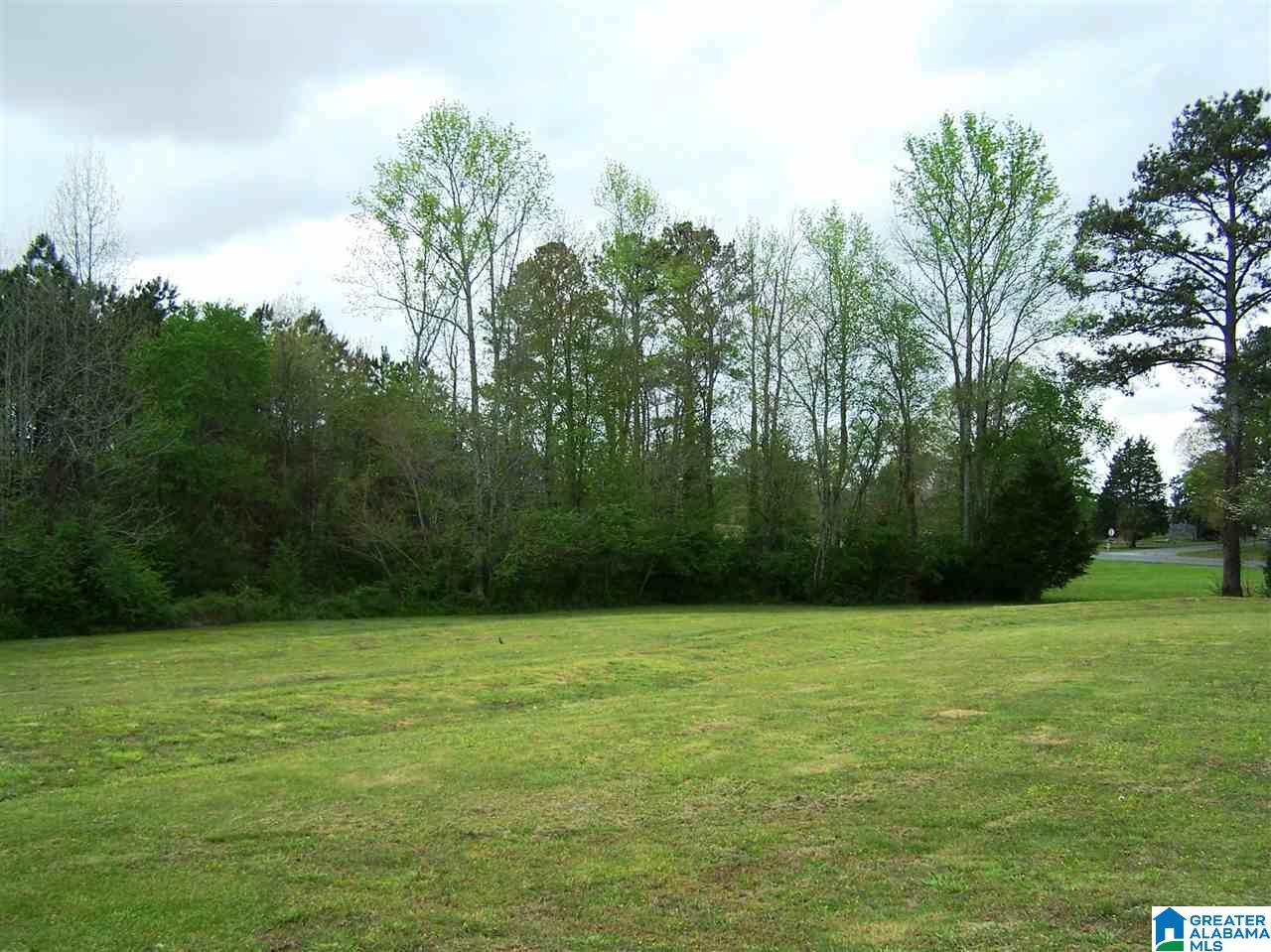 16 Daileys Chapel Road Oneonta, AL 35121 - Photo 10 of 50