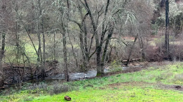 $295,000 | 10165 Cave City Road, Mountain Ranch, CA 95246