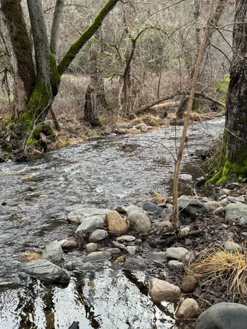 $295,000 | 10165 Cave City Road, Mountain Ranch, CA 95246