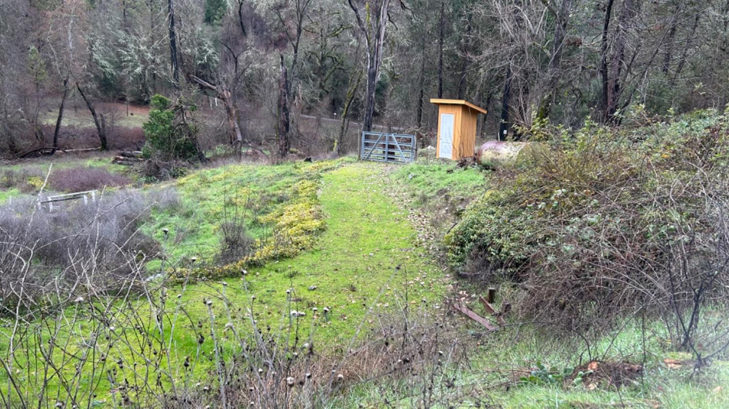 10165 Cave City Road Mountain Ranch, CA 95246 - Photo 6 of 39