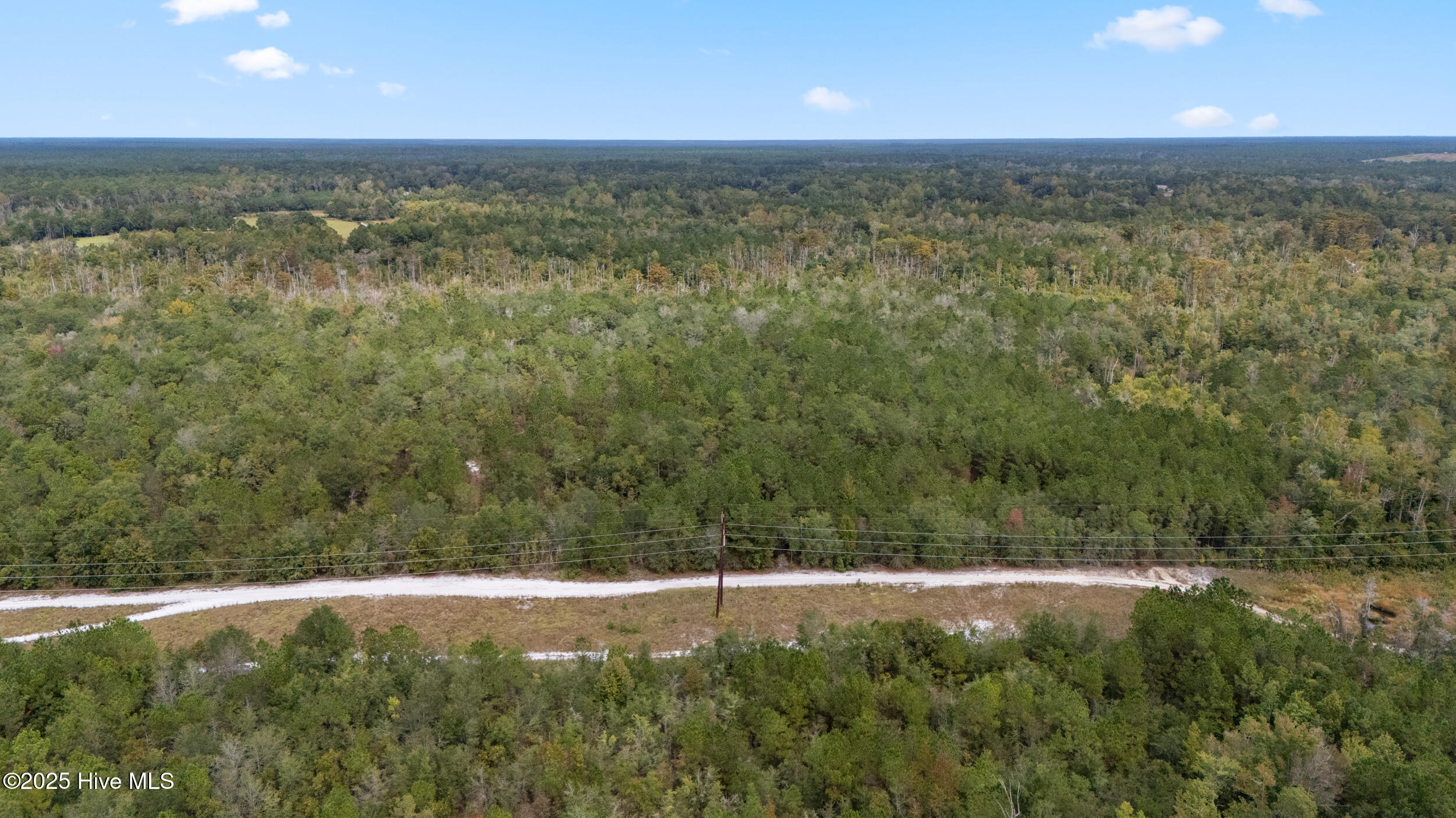 0 Green Swamp Rd Road Northwest Supply, NC 28462 - Photo 19 of 35 14_dji_20251009105934_0049_d