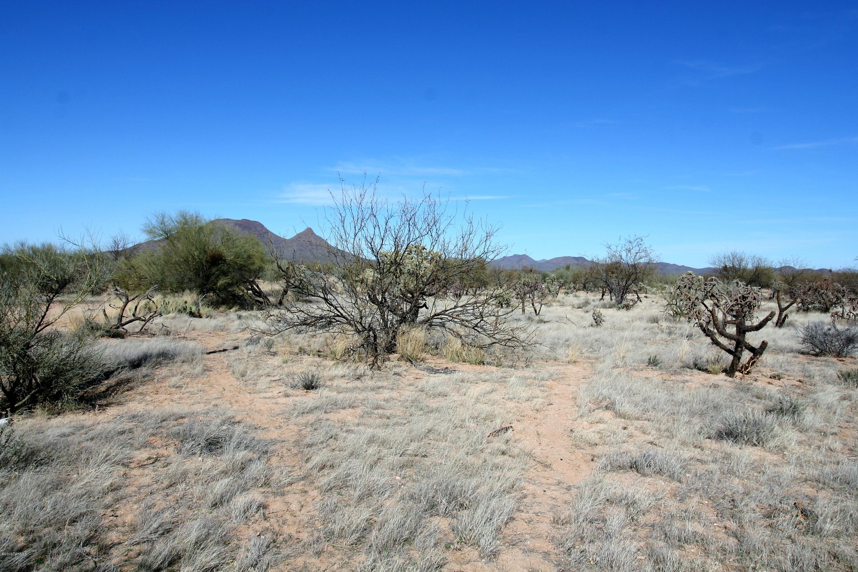 Dills Best Road Tucson, AZ 85735 - Photo 1 of 5 Gallery Image 1