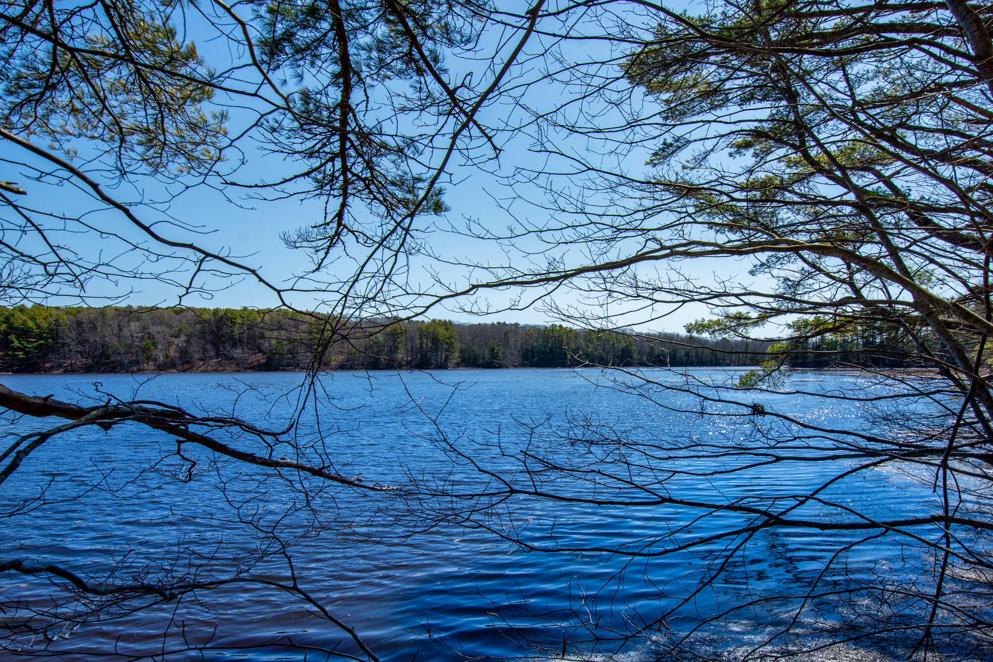 290 Bremen Road Waldoboro, ME 04572 - Photo 19 of 20 290 Bremen Waterfront-12